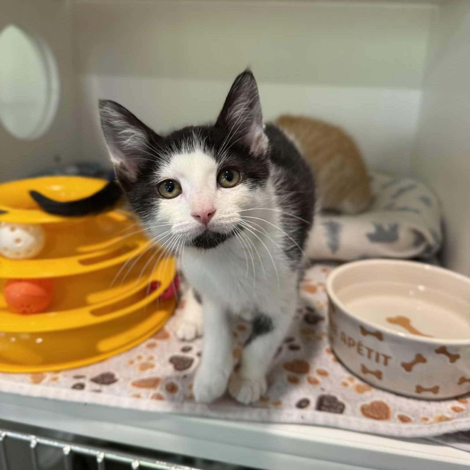 Paranorman thumbnail 5