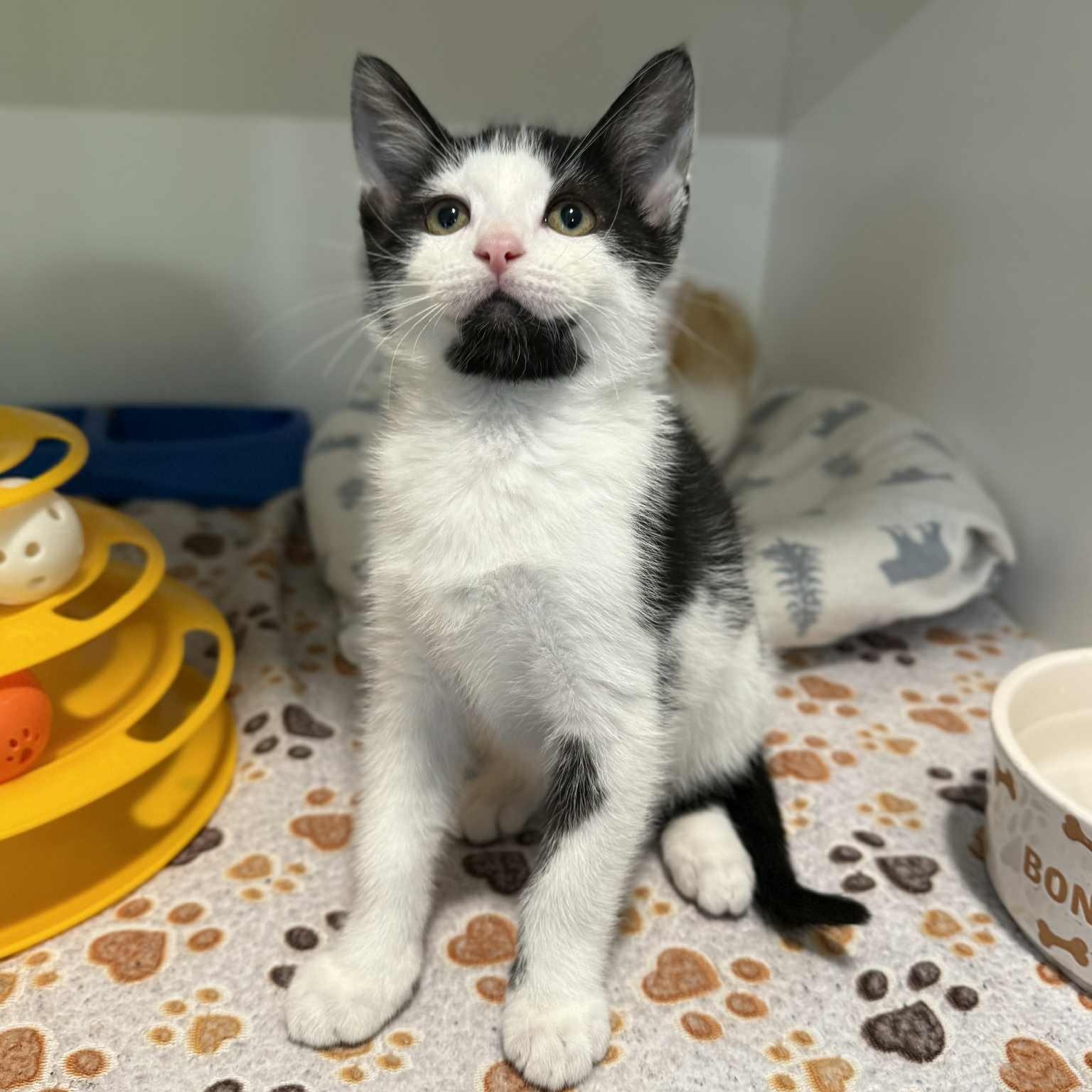 Paranorman thumbnail 4