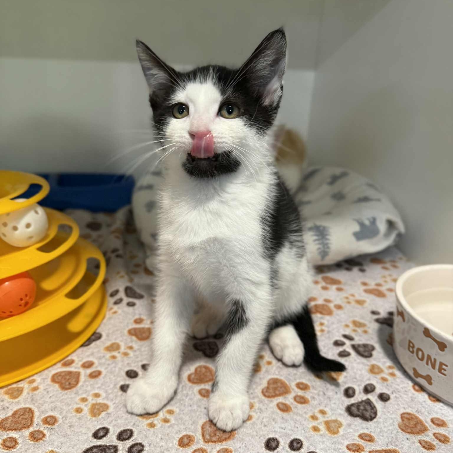 Paranorman thumbnail 3