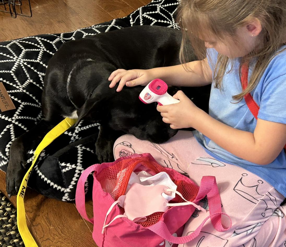 Violet, a Adoptable Catahoula Leopard Dog in Centerton, AR image 1/6