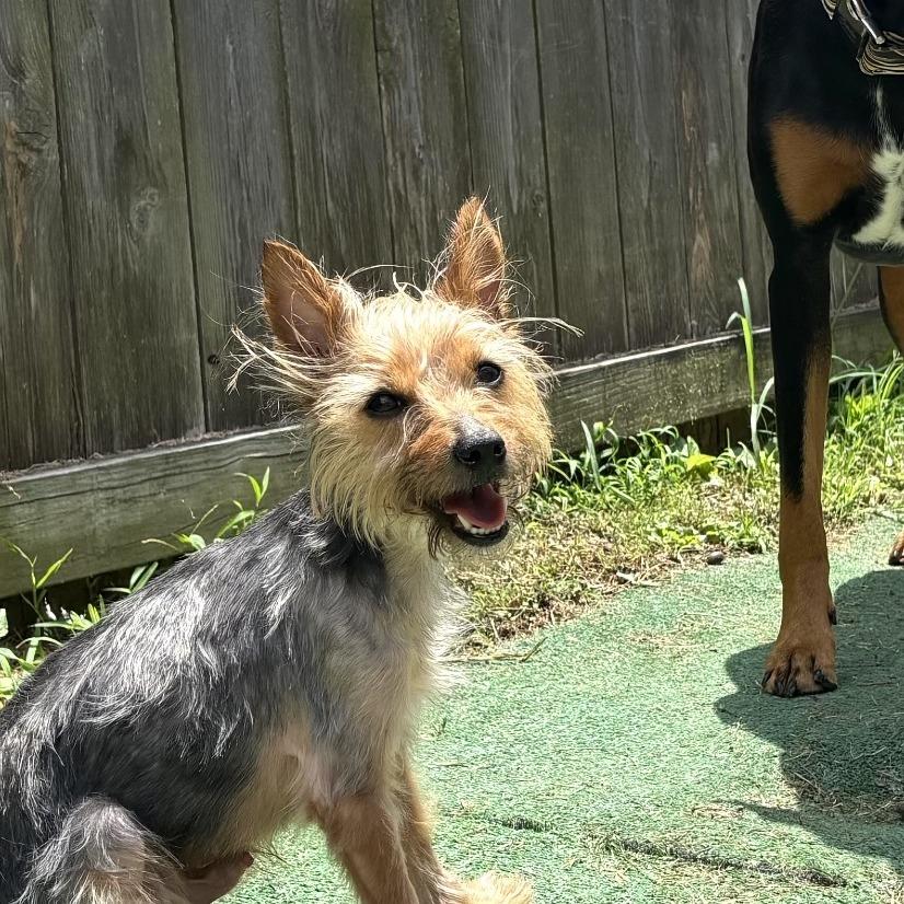 Bentley Bartholomew — thumbnail 2