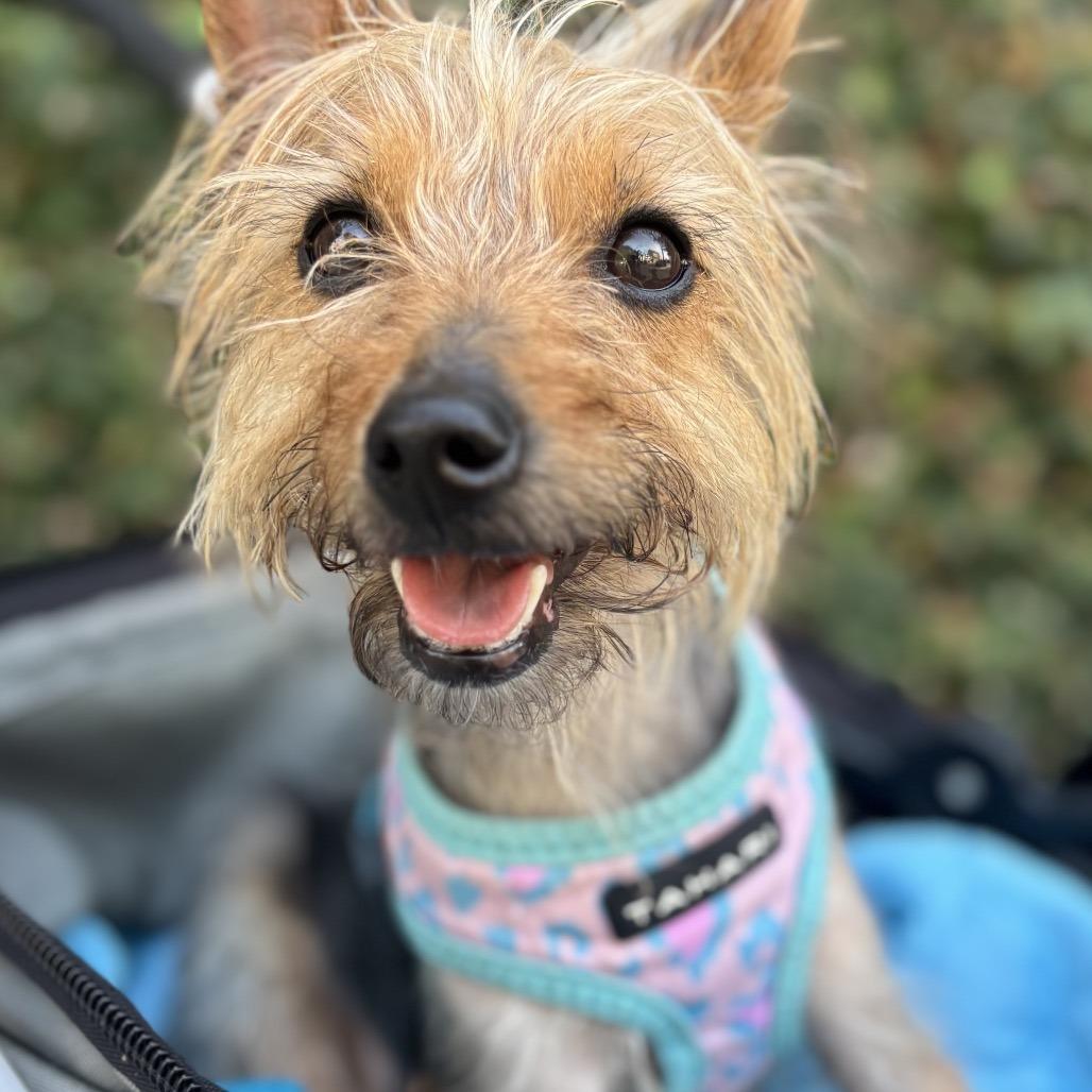 Bentley Bartholomew