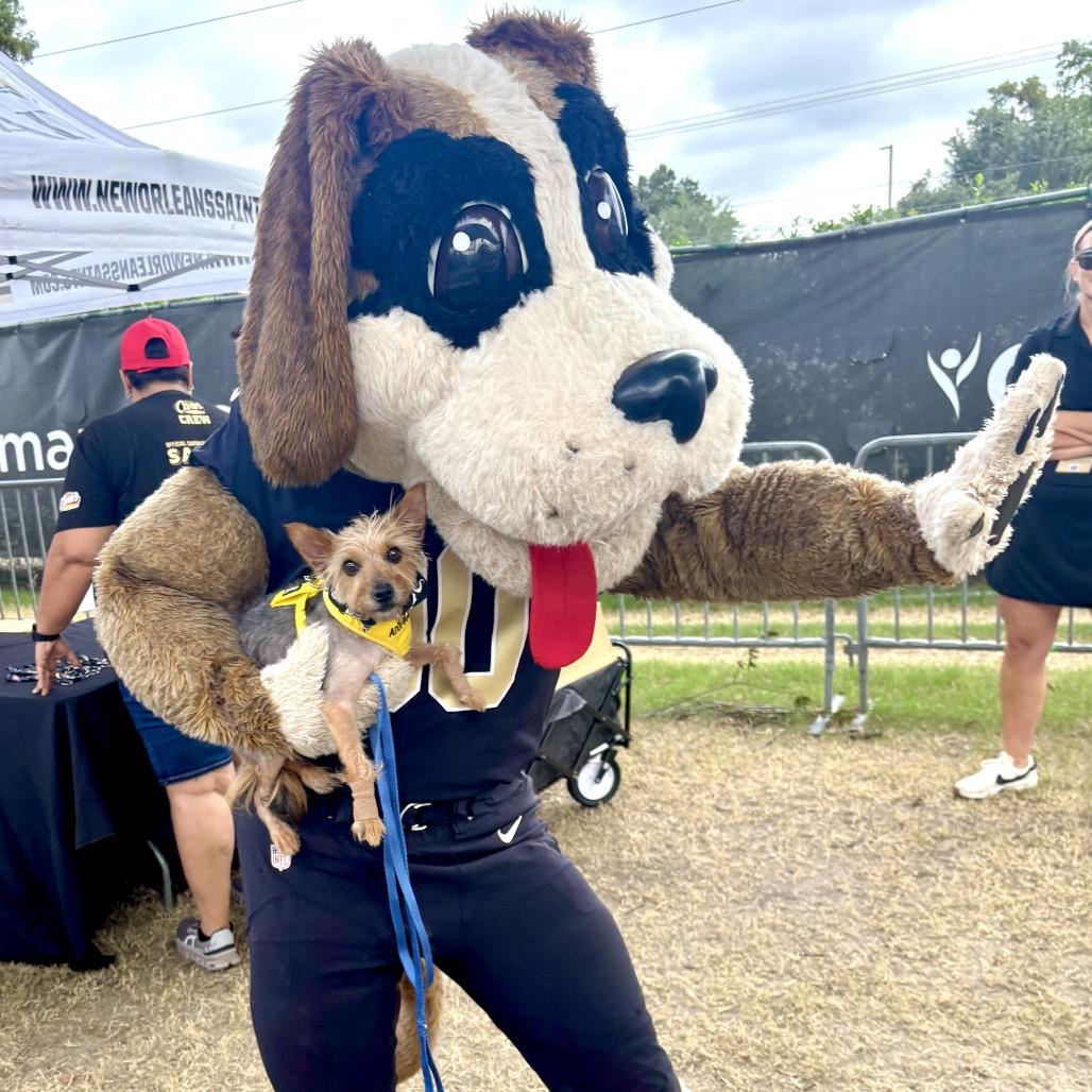 Bentley Bartholomew — thumbnail 5