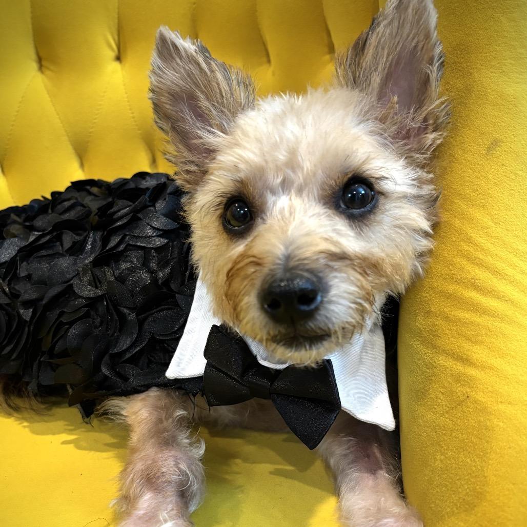 Bentley Bartholomew — thumbnail 6