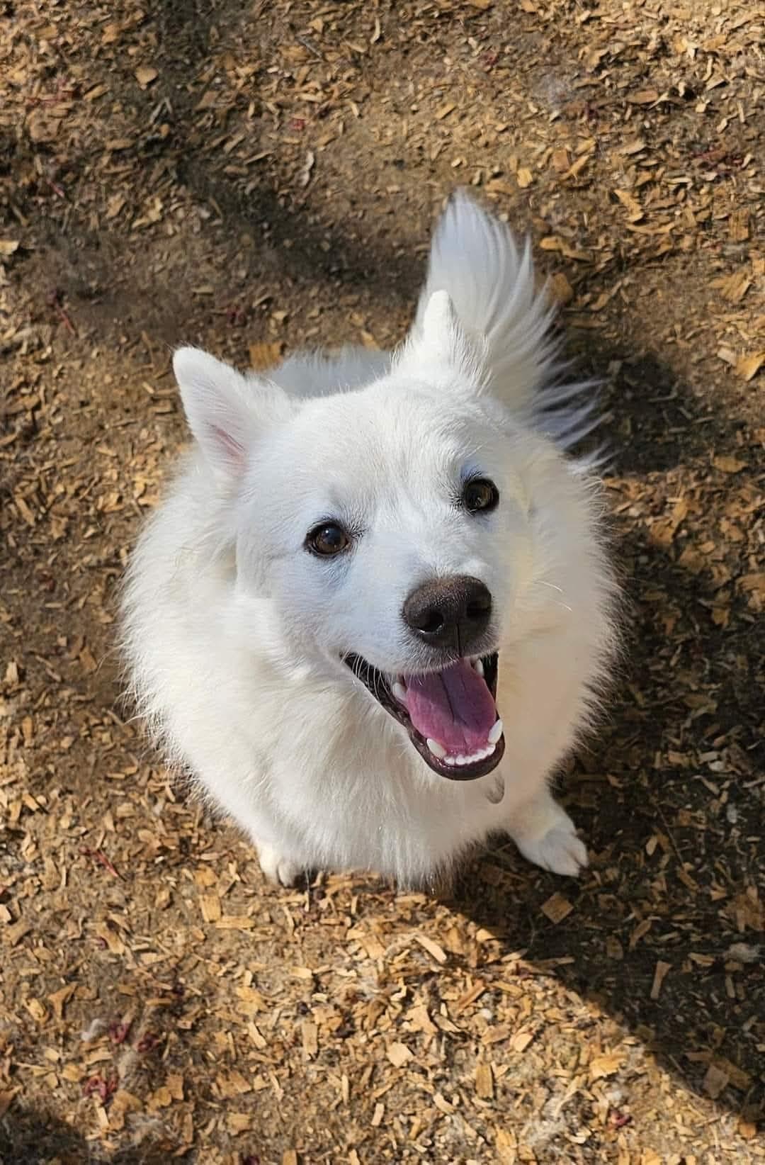 Fitz aka Fitzy