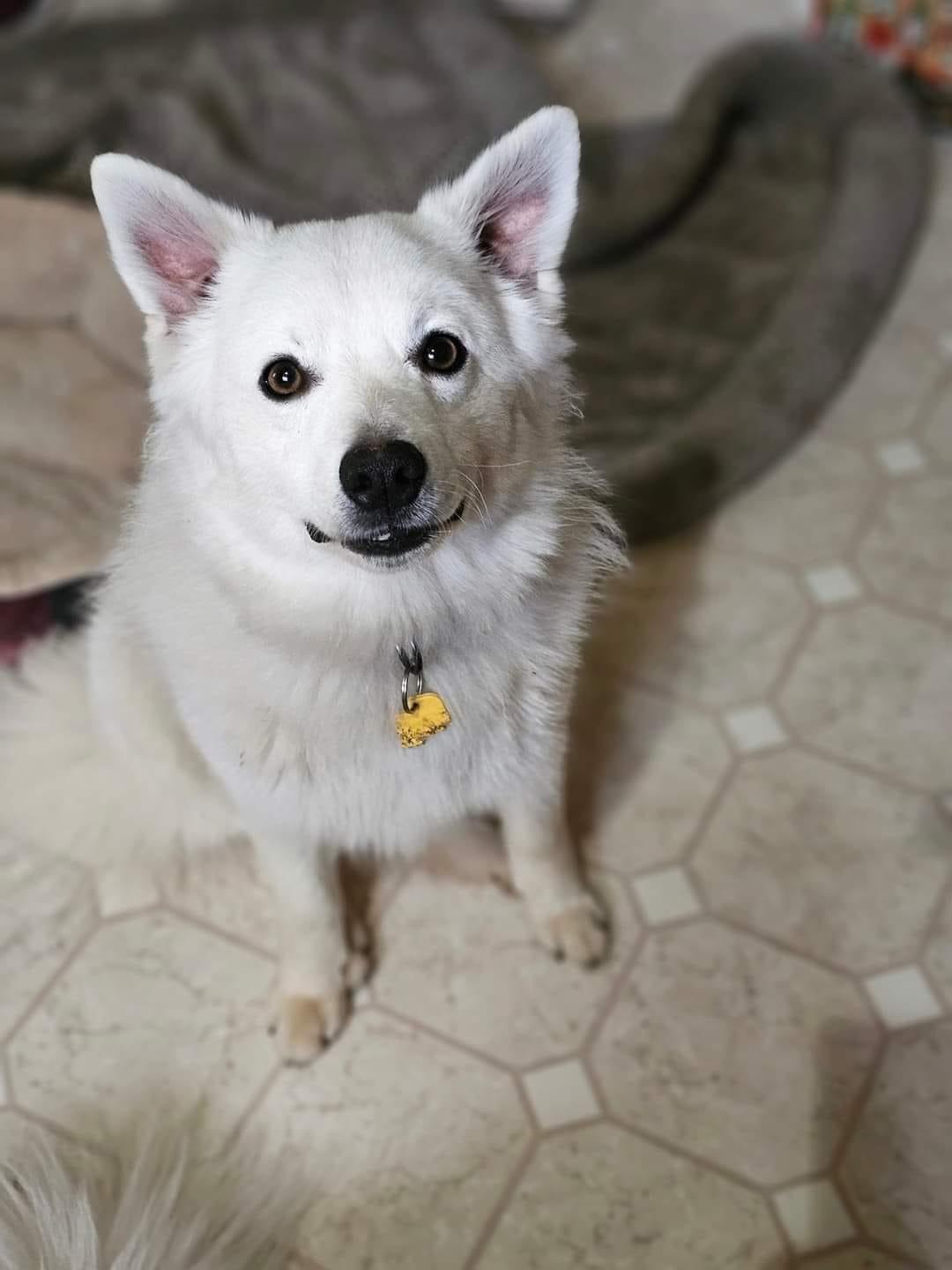 Fitz aka Fitzy