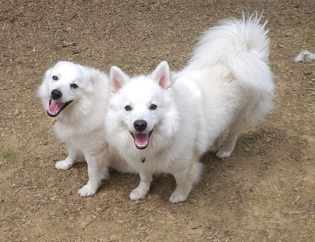 Fitz Aka Fitzy thumbnail 4