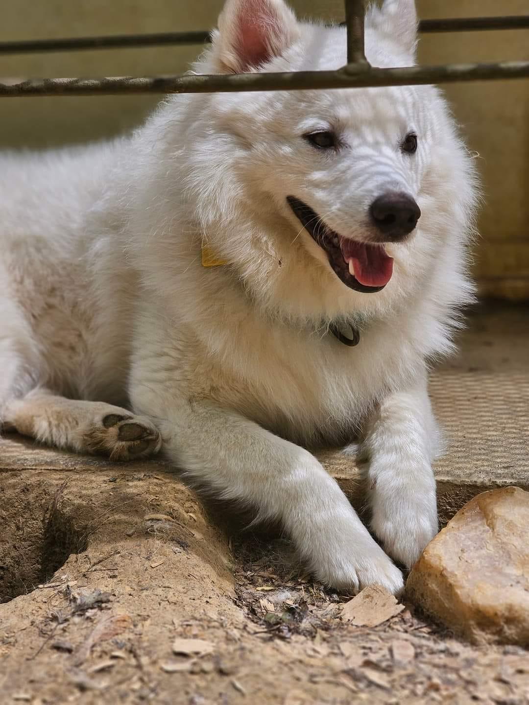 Fitz aka Fitzy