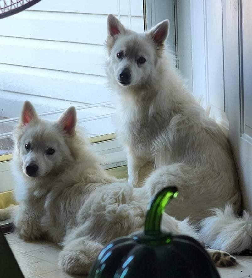 Fitz Aka Fitzy thumbnail 6