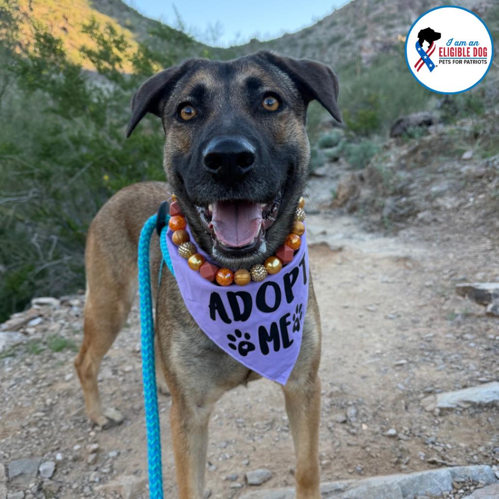 Delphine thumbnail 3