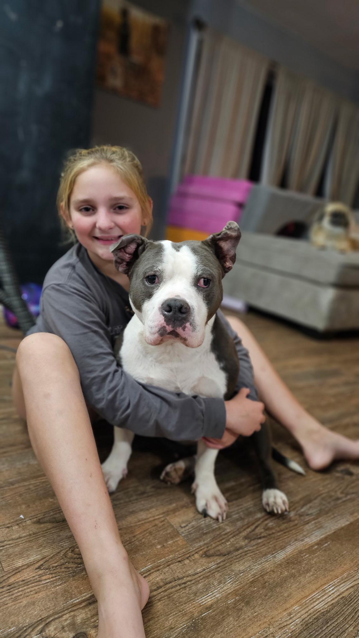 Enlarge Bubba, a Adoptable mixed breed in Evansville, IN image 4/5