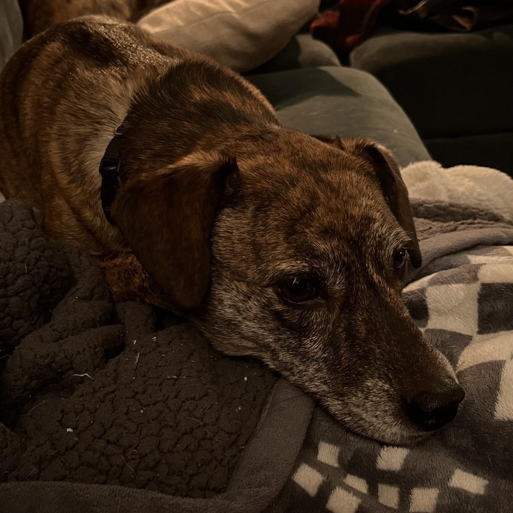 Bingo — thumbnail 4