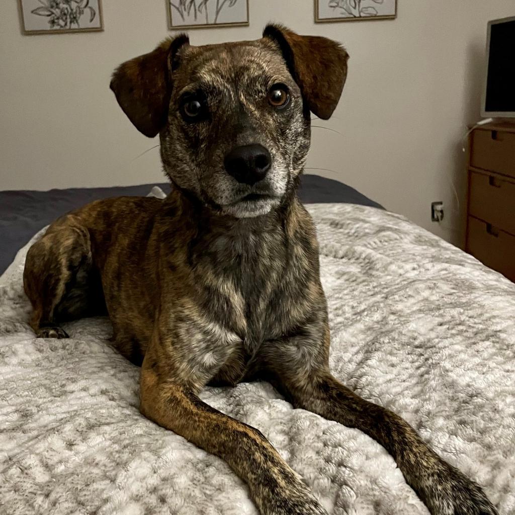 Bingo — thumbnail 5