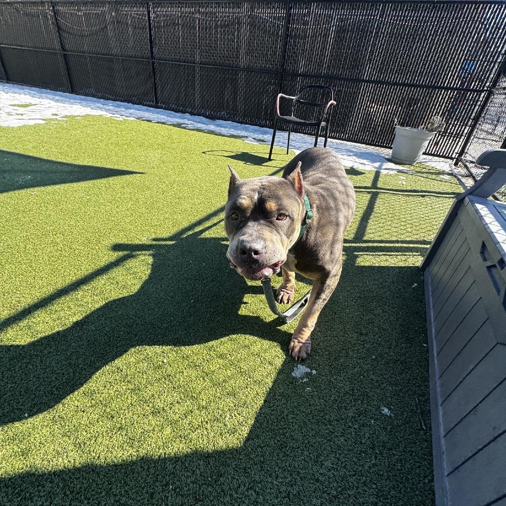 Tokyo — thumbnail 2