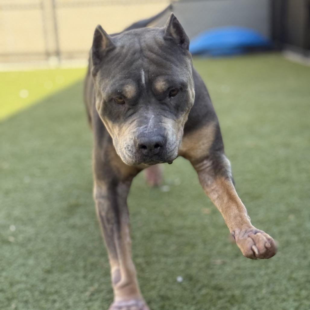 Tokyo — thumbnail 3