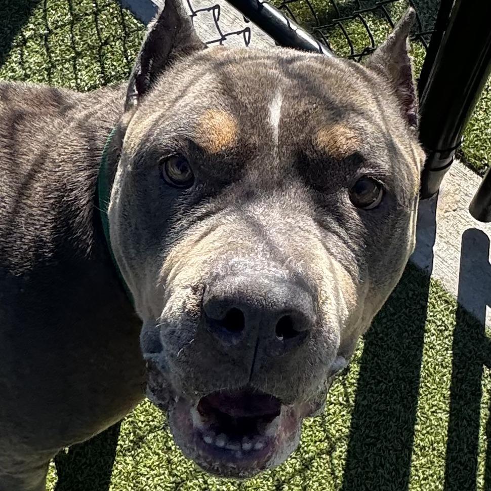 Tokyo — thumbnail 4