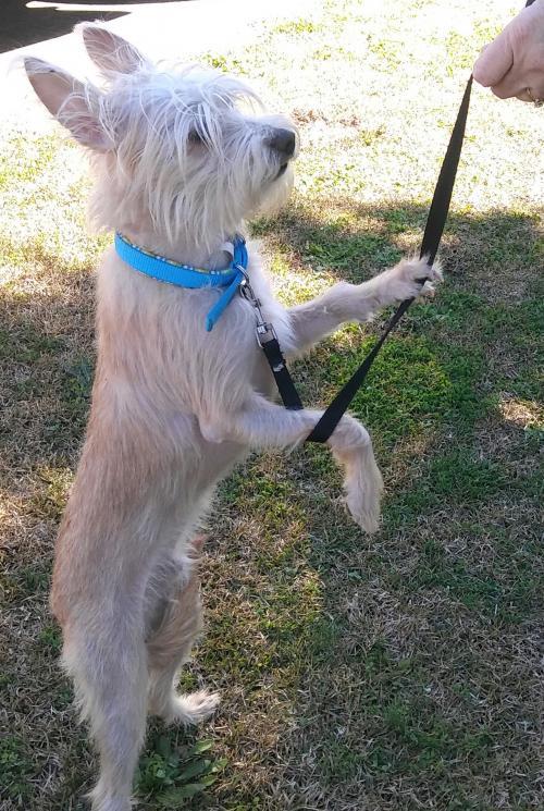 Bailey 2 photo 2