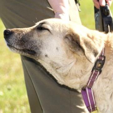 Gracie Momma Storm thumbnail 2