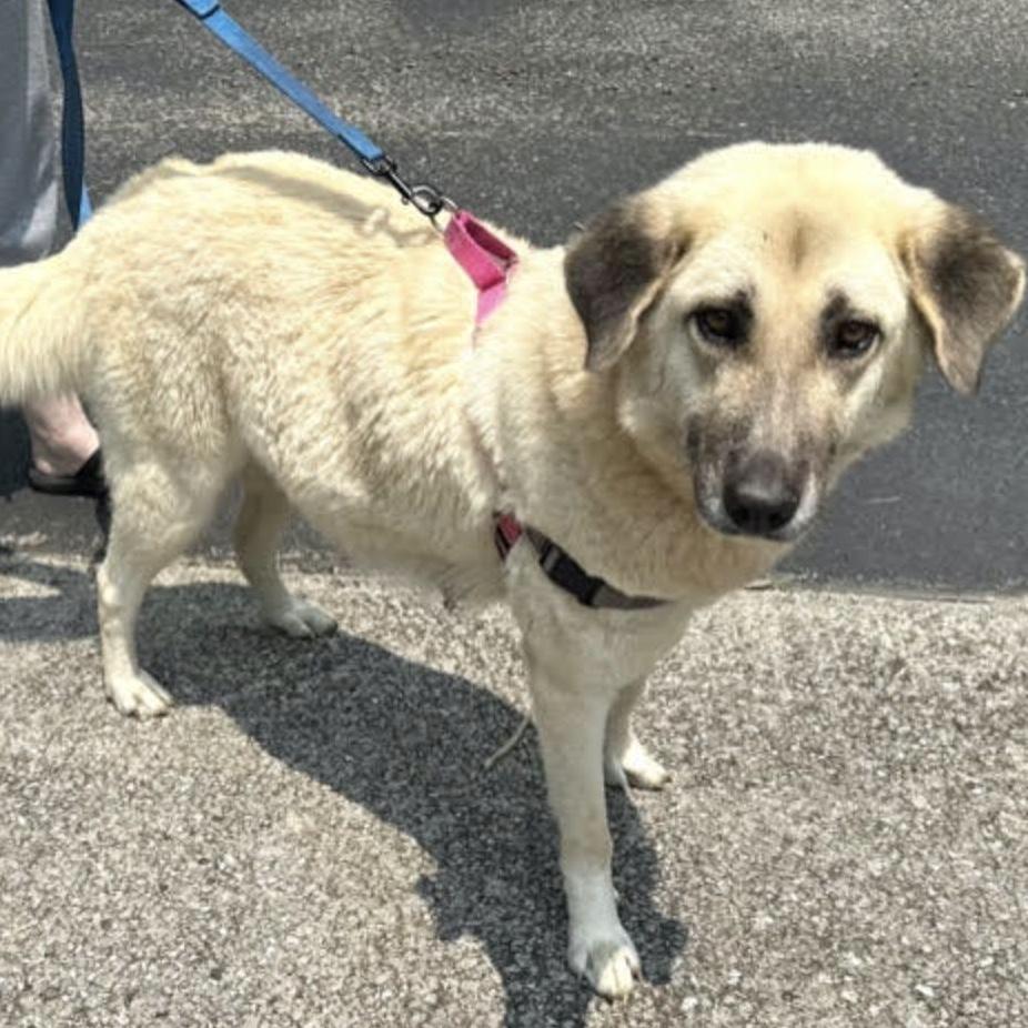 Gracie Momma Storm thumbnail 3