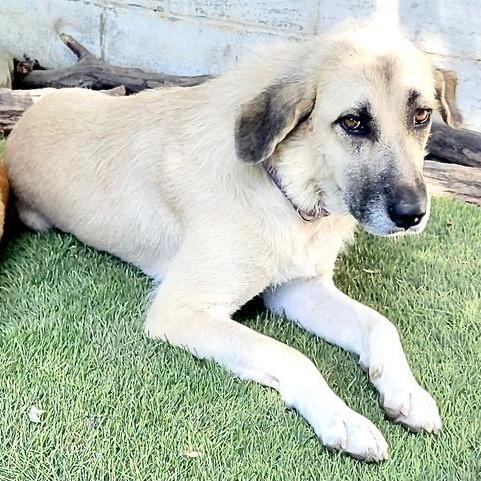 Gracie Momma Storm thumbnail 5