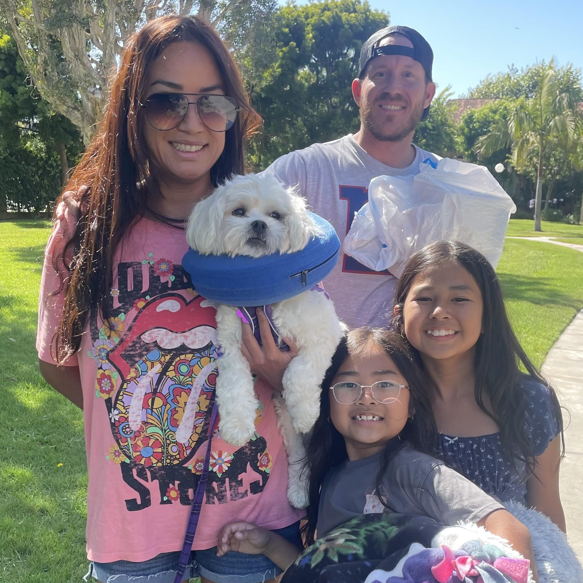 Mochi #551, a Adopted mixed breed in Placentia, CA image 2/3