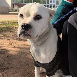 Strawberry Icing — thumbnail 3