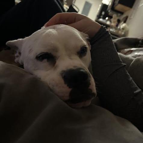 Strawberry Icing — thumbnail 6