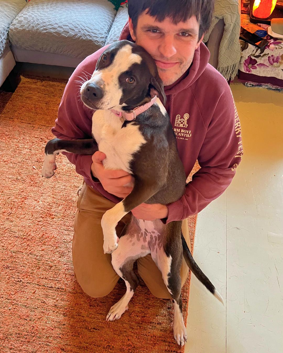 Enlarge Sage, a Adoptable mixed breed in minneapolis, MN image 2/6