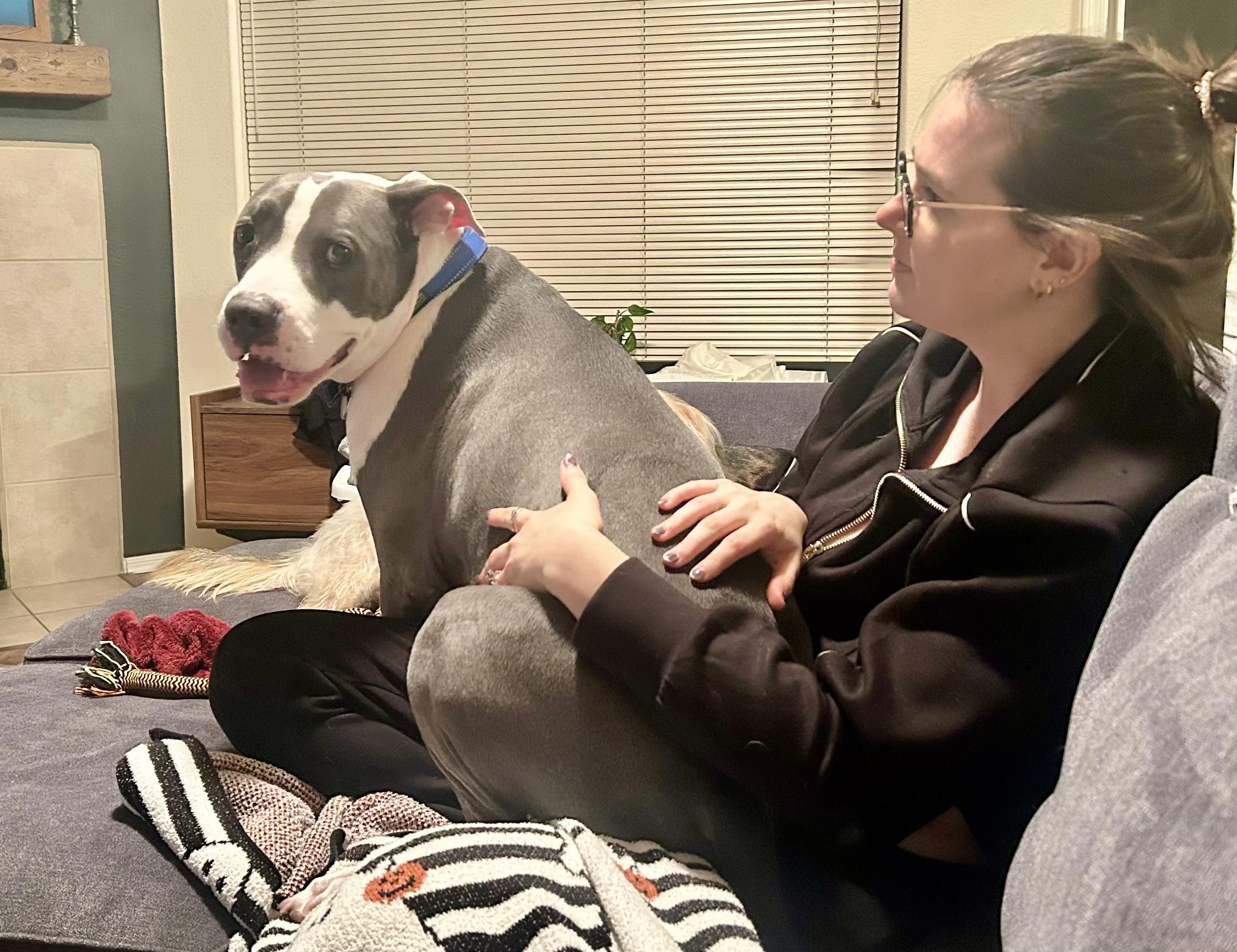 Enlarge Boo Boo, a ADOPTABLE mixed breed in Scottsdale, AZ image 2/6