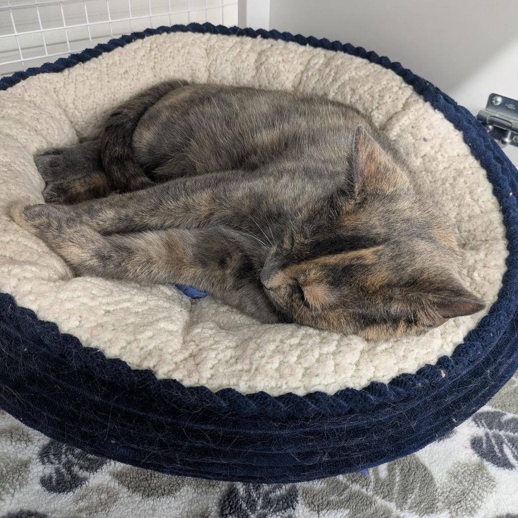 Marathon — thumbnail 2