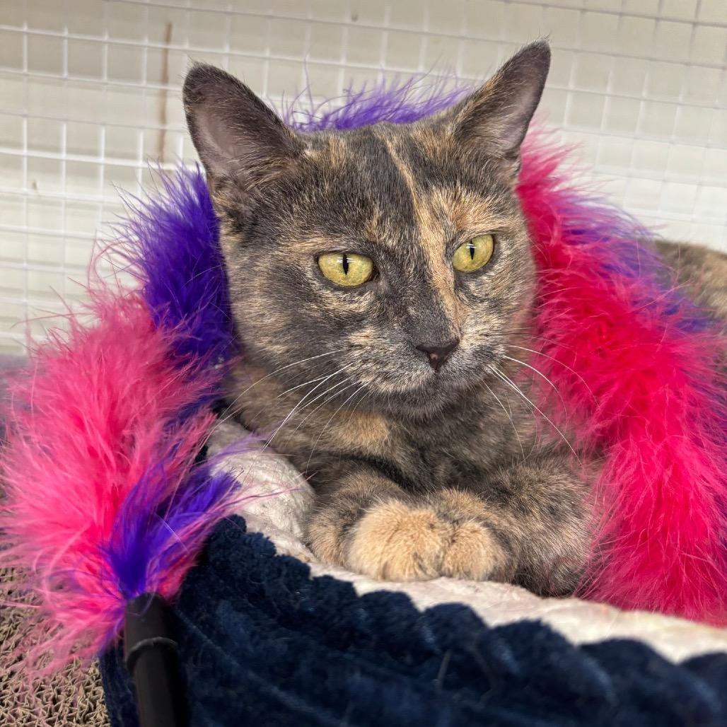 Marathon — thumbnail 3