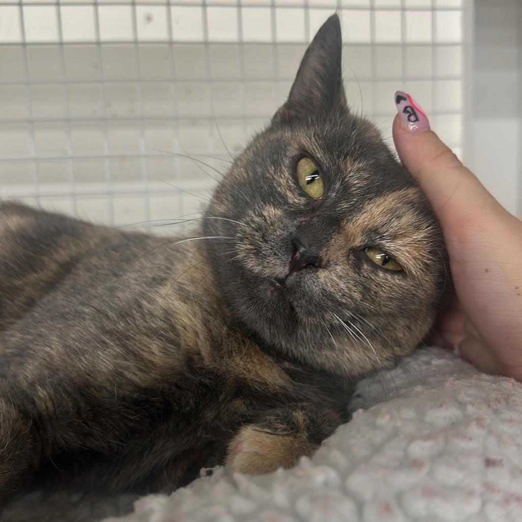 Marathon — thumbnail 4