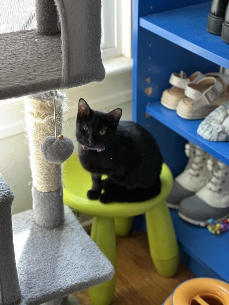 Jammie Dodger — thumbnail 2