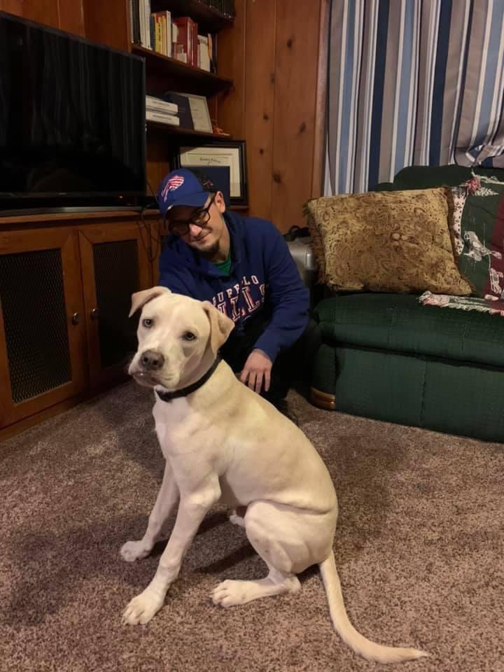 Enlarge Derby, a Adoptable Labrador Retriever in Tonawanda, NY image 2/3