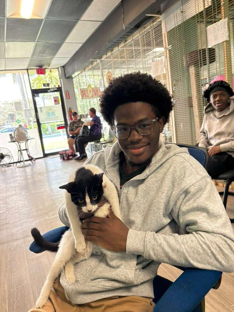 Enlarge sofia, a Adopted mixed breed in Margate, FL image 1/1