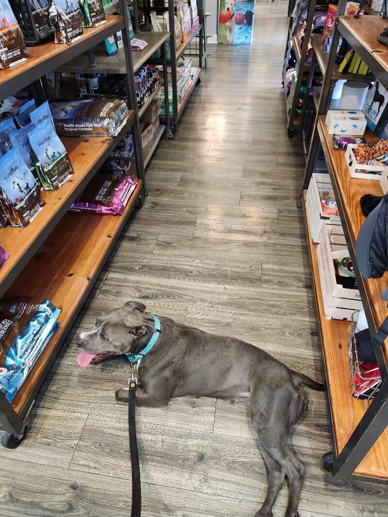 Maribella Made to Love full of fun