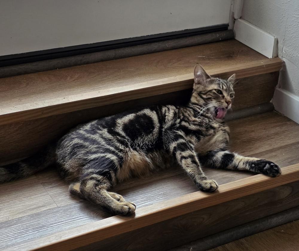 Marble — thumbnail 2