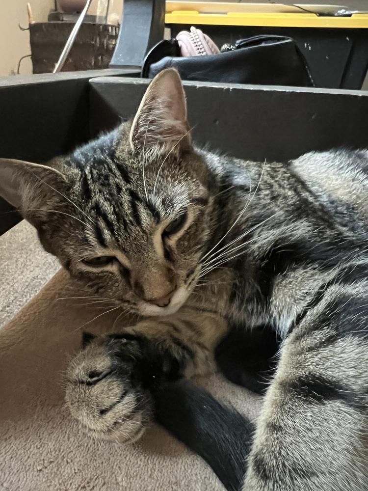 Marble — thumbnail 3