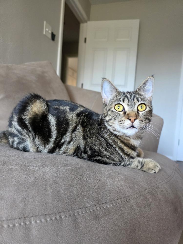 Marble — thumbnail 4