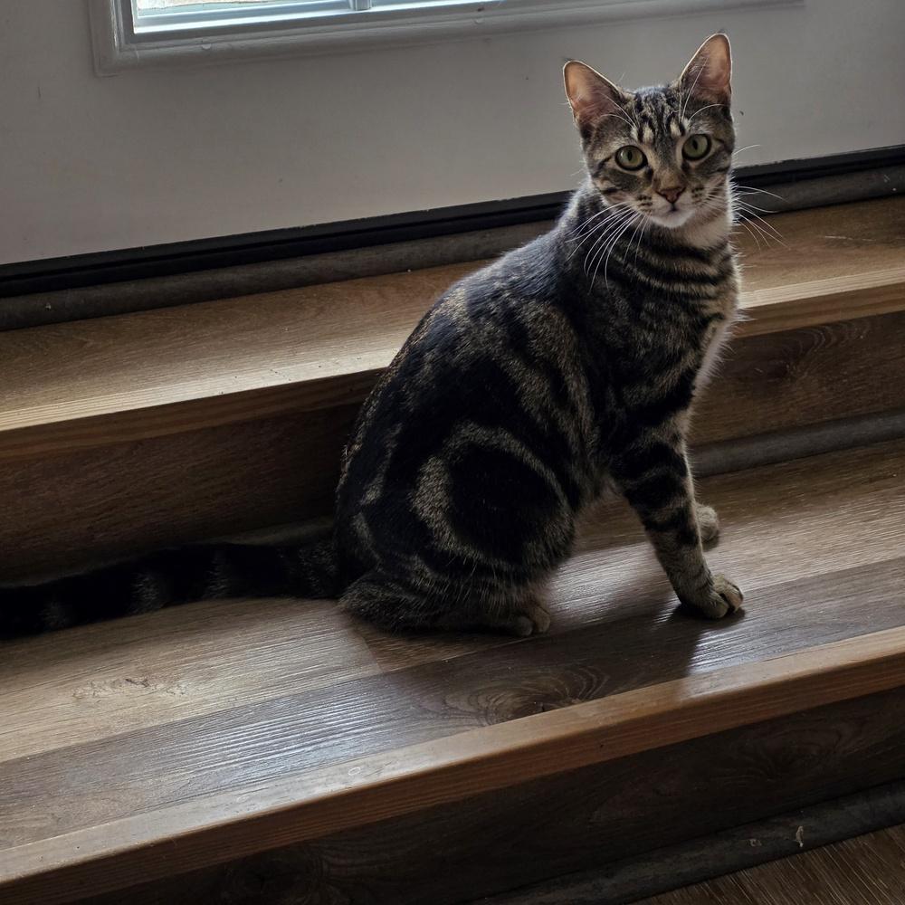 Marble — thumbnail 5