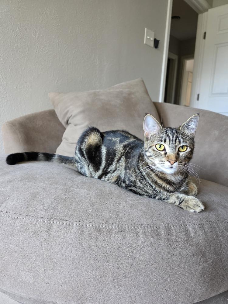 Marble — thumbnail 6