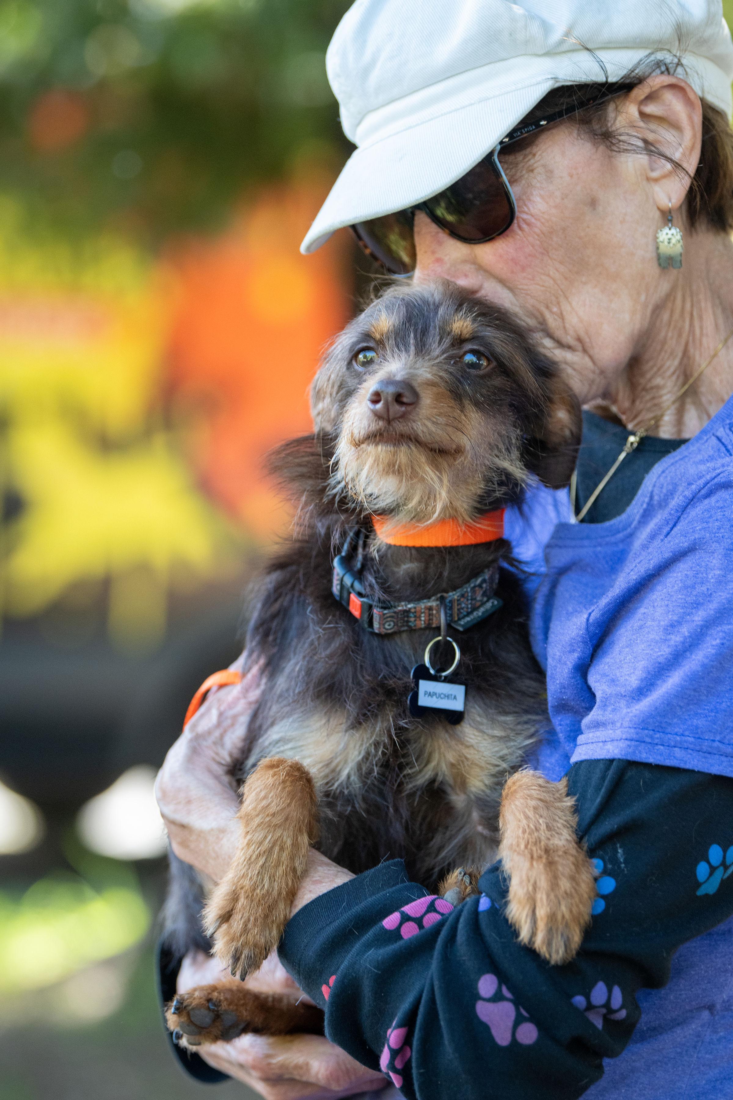 Papuchita, an adopted mixed breed in Santa Rosa, CA image 5/5