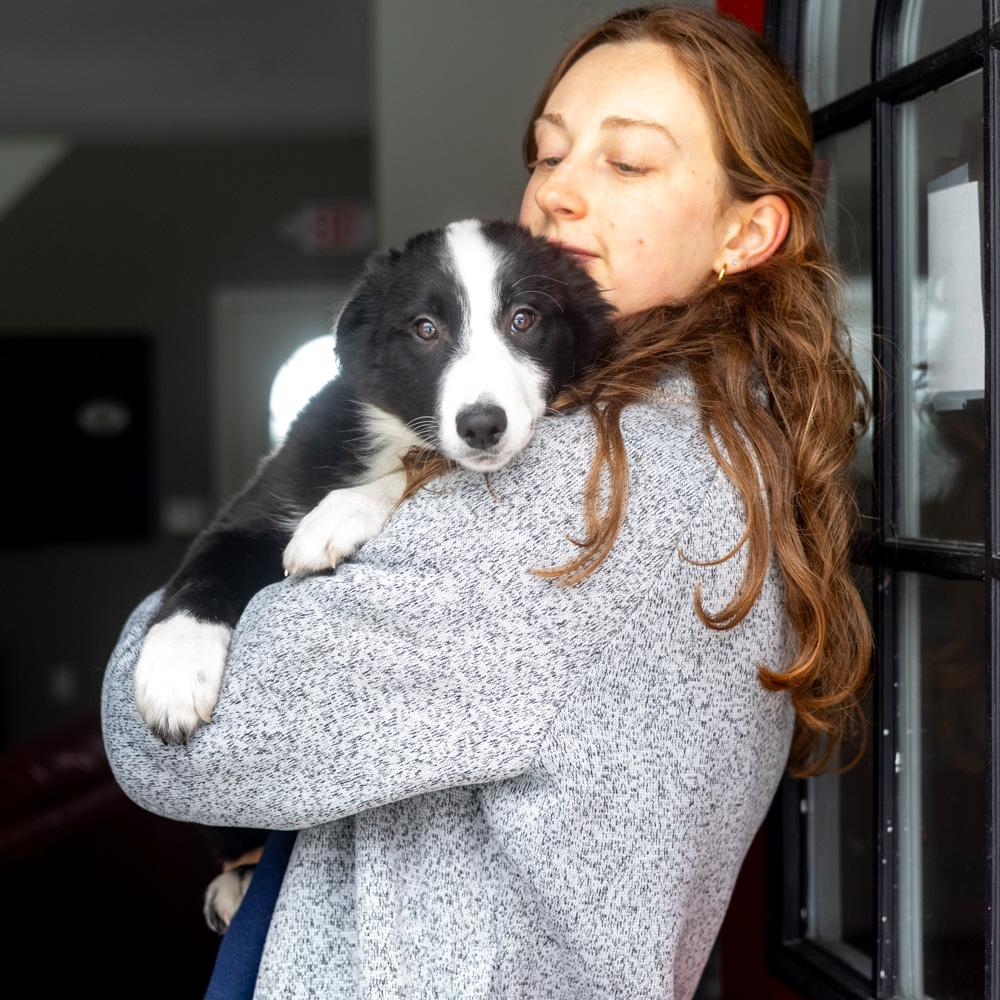 Enlarge Opal (Female) , a Adoptable mixed breed in West Grove, PA image 3/6