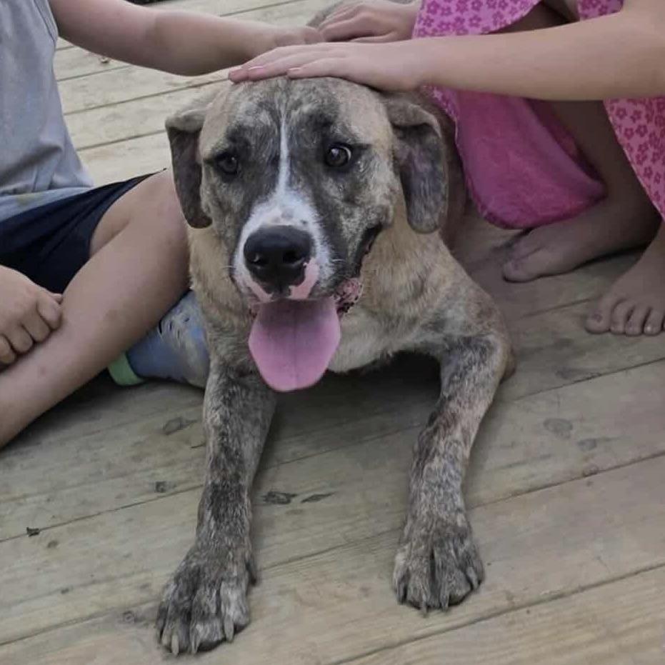 Zamir (20240905-10) ***Part of a bonded pair*** — thumbnail 6