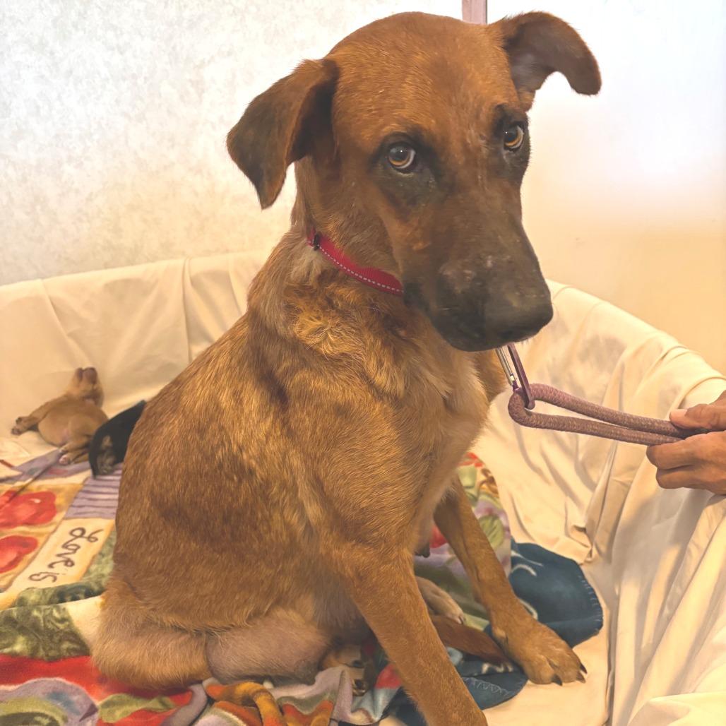 Zola Jum thumbnail 2