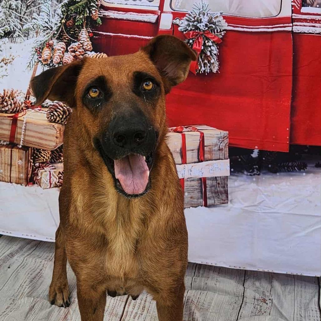 Zola Jum thumbnail 3