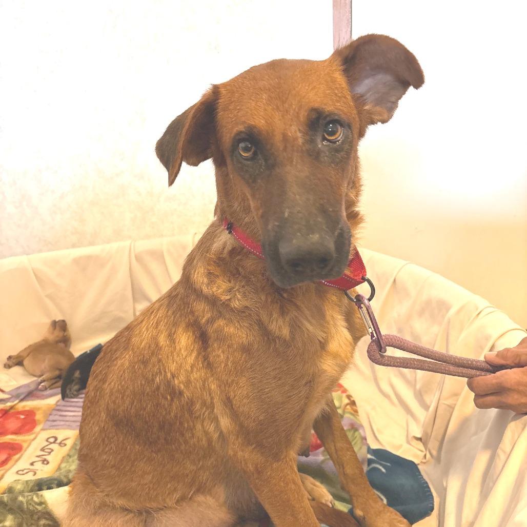 Zola Jum thumbnail 4