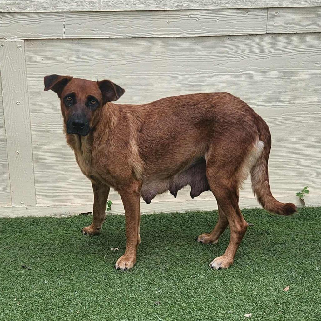 Zola Jum thumbnail 6