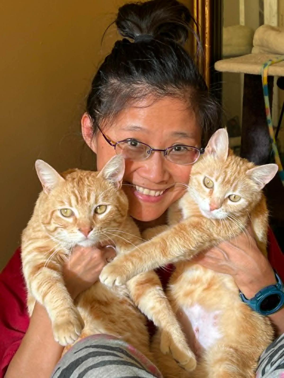 Enlarge Sunshine, a Adoptable mixed breed in san francisco, CA image 3/6