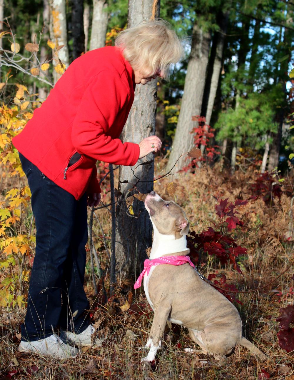 Willa, an adoptable Mixed Breed in Cheboygan, MI, 49721 | Photo Image 4